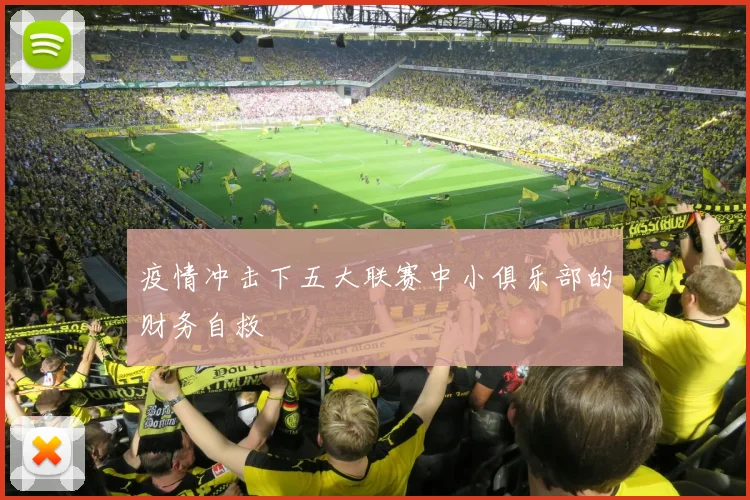 疫情冲击下五大联赛中小俱乐部的财务自救