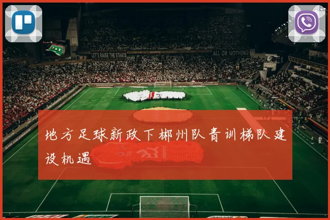 地方足球新政下郴州队青训梯队建设机遇