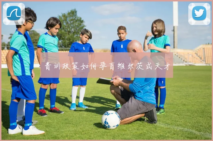 青训政策如何孕育维尔茨式天才