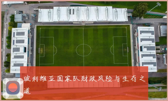 玻利维亚国家队财政风险与生存之道