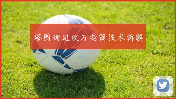 塔图姆进攻万花筒技术拆解