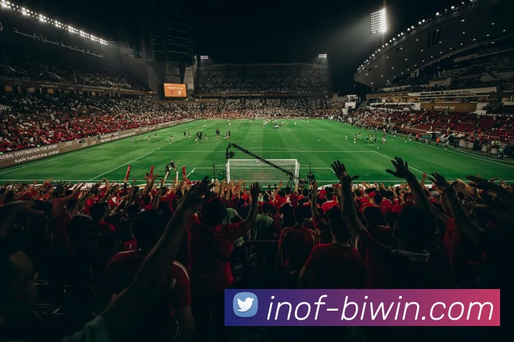 biwin平台生态图